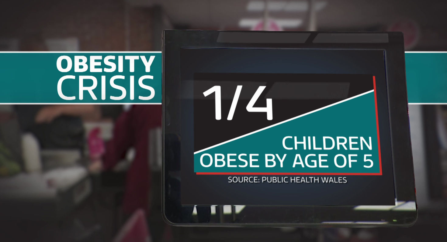 3E GFXV OBESITY WALES DW